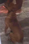 Marley