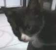 james bond
