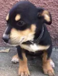 Bebê