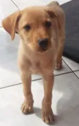 Não tem 