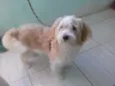 Spike