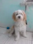 Spike