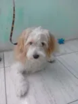Spike
