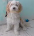 Spike