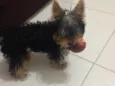 Jack