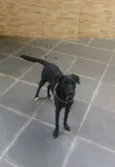Bia