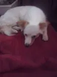 Não sei informar