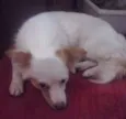 Não sei informar