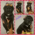 Julie