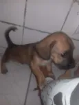 Marley