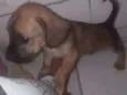 Marley