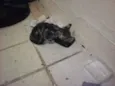 piciuzera