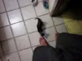 piciuzera