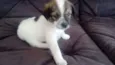 LUCY