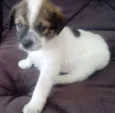 LUCY