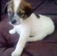 LUCY