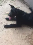 Bruce