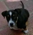 FEIJÃO