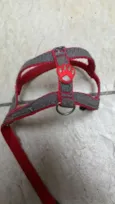 Encontrada
