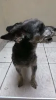 Encontrada