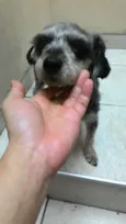 Encontrada