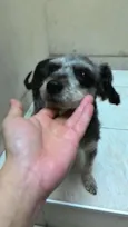 Encontrada