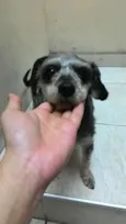 Encontrada