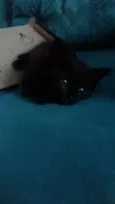 Perola Negra, Juliet