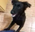 Neguinho