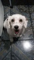 Mili