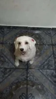 Mili