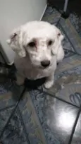 Mili