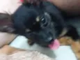 Princesa
