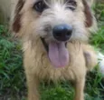 HUGO
