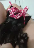 ADOTE