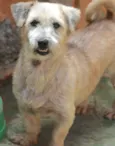 Isa Pequena