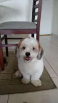 Billy