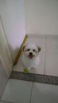 Billy