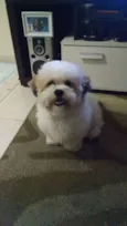 Billy