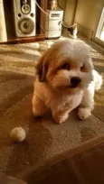 Billy