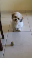Billy