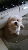 Billy
