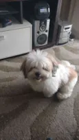 Billy