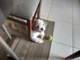 Billy