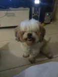 Billy