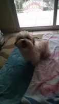 Billy