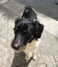 Cuco