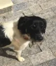 Cuco