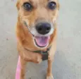 Mel