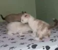 Any